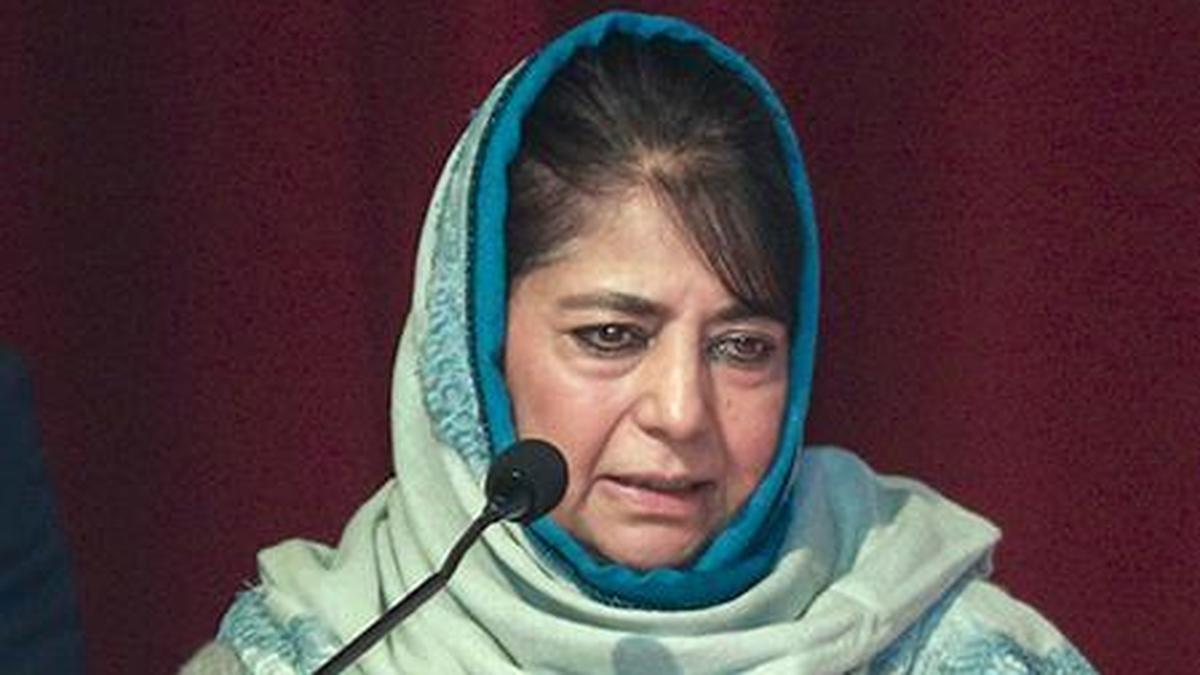 Srinagar youth provide brave new voice amid silence, despair: Mehbooba Mufti