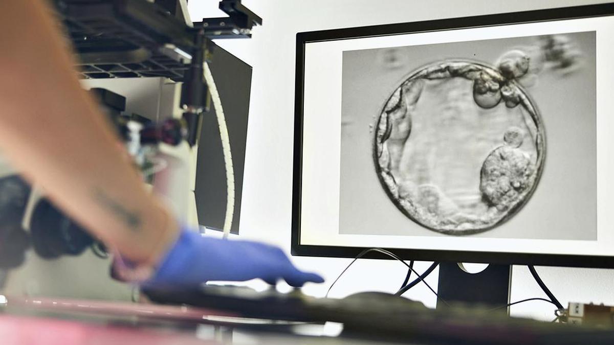Moving from IUI to IVF: what couples should know about the right time