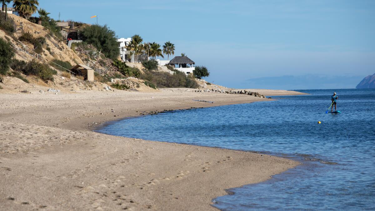 Contributor: Don't let natural gas exports wreck the Gulf of California ecosystem