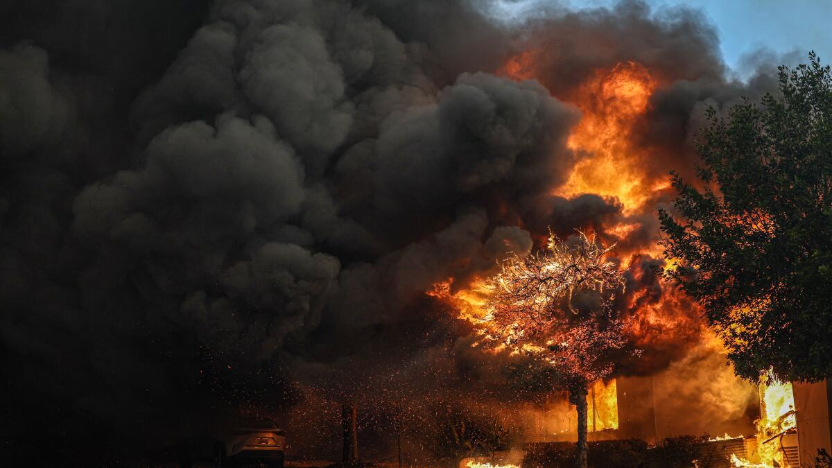 Contributor: Nature is a powerful ally against fires and floods. So how will we save it?