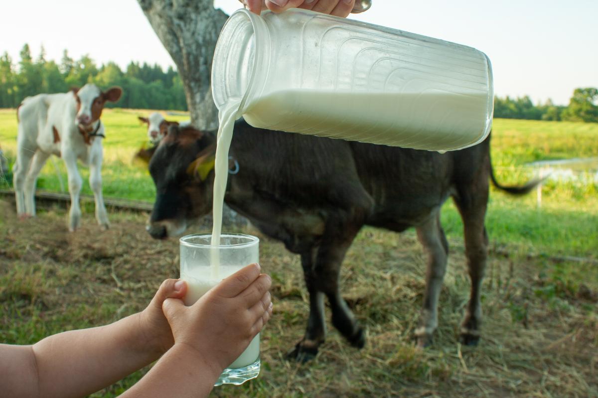 Newborn baby's death 'most likely' caused from mother's raw milk...