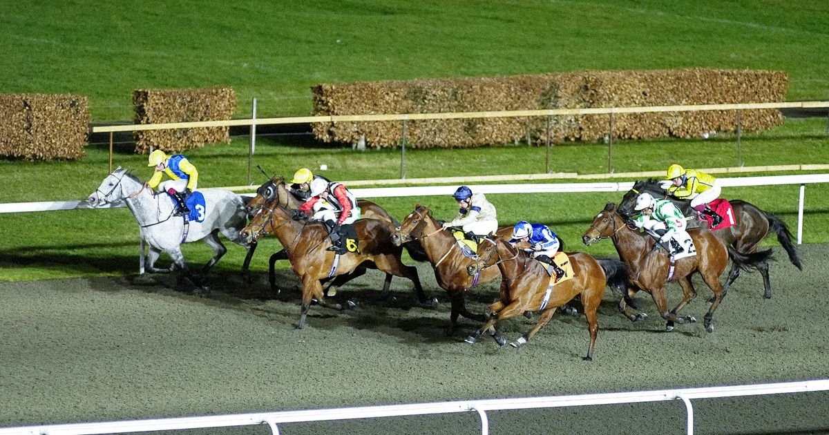 Newsboy's horse racing selections for Wednesday's three meetings, including Kempton Nap - The Mirror