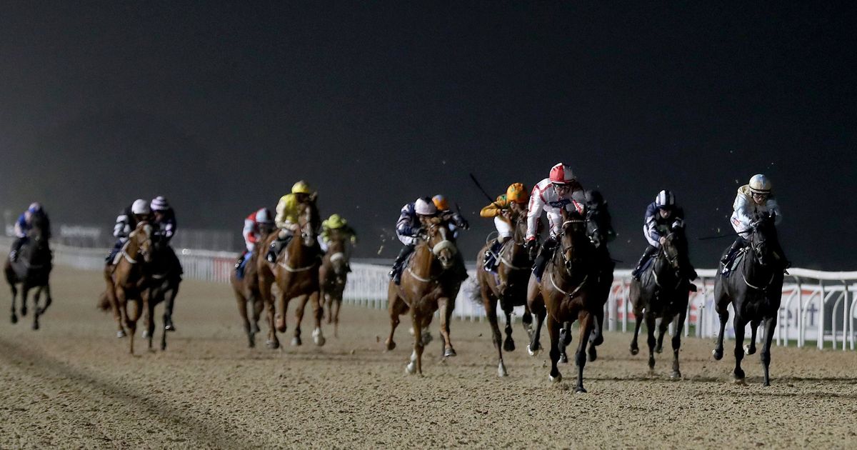 Newsboy's horse racing selections for Thursday's three meetings, including Newcastle Nap - The Mirror