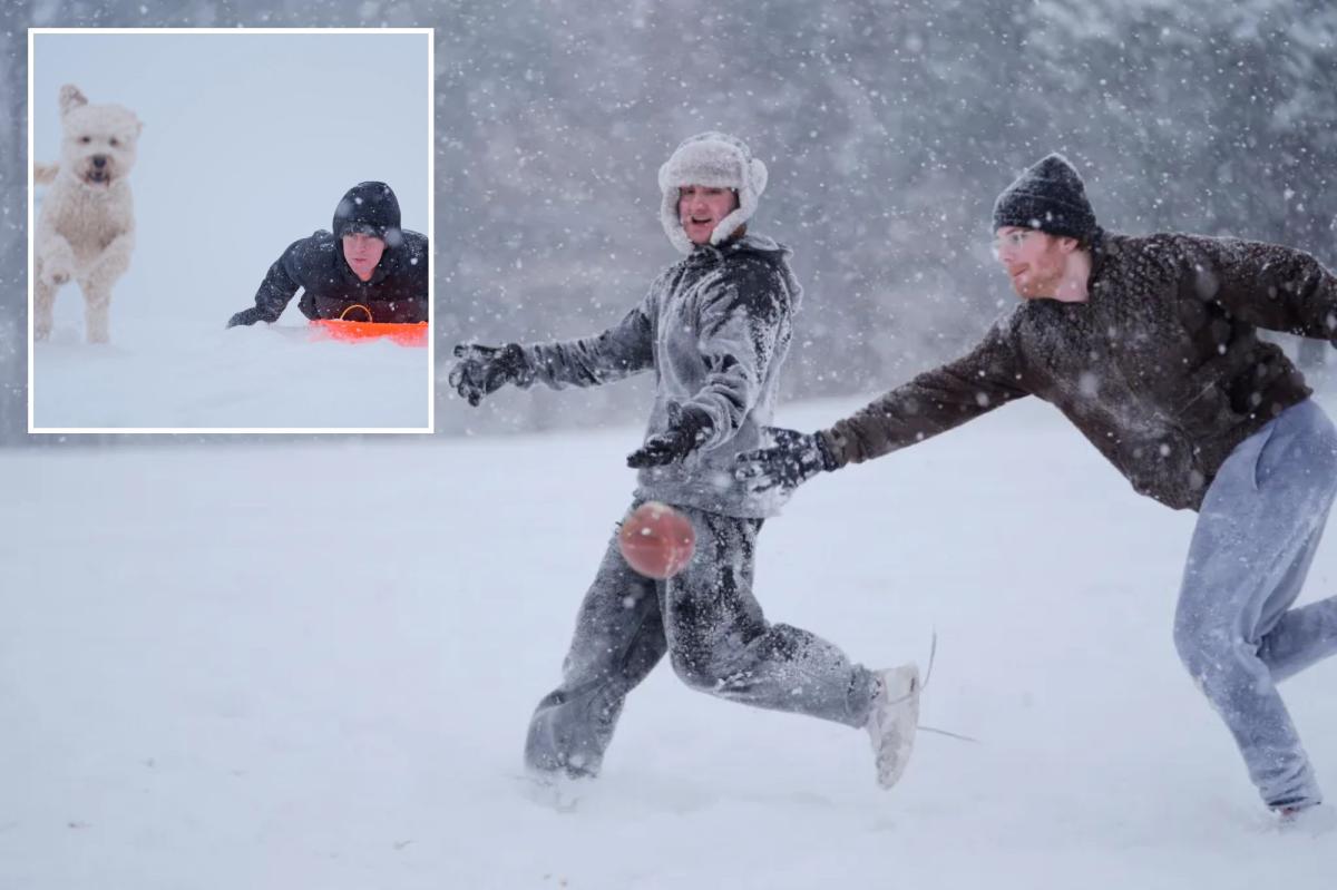 Nor'easter slams Carolinas, Virginia with snow as blizzard...