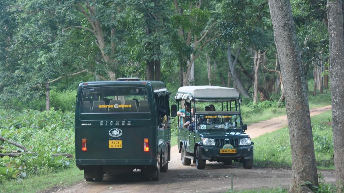 Safari in Bandipur and Nagarahole to resume with fewer trips