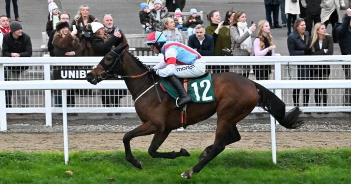 Leading Cheltenham Festival contender dies suddenly in 'massive blow' to small stable - The Mirror