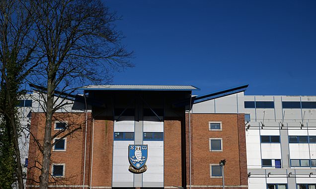 Sheffield Wednesday fan has his ear BITTEN before Millwall clash