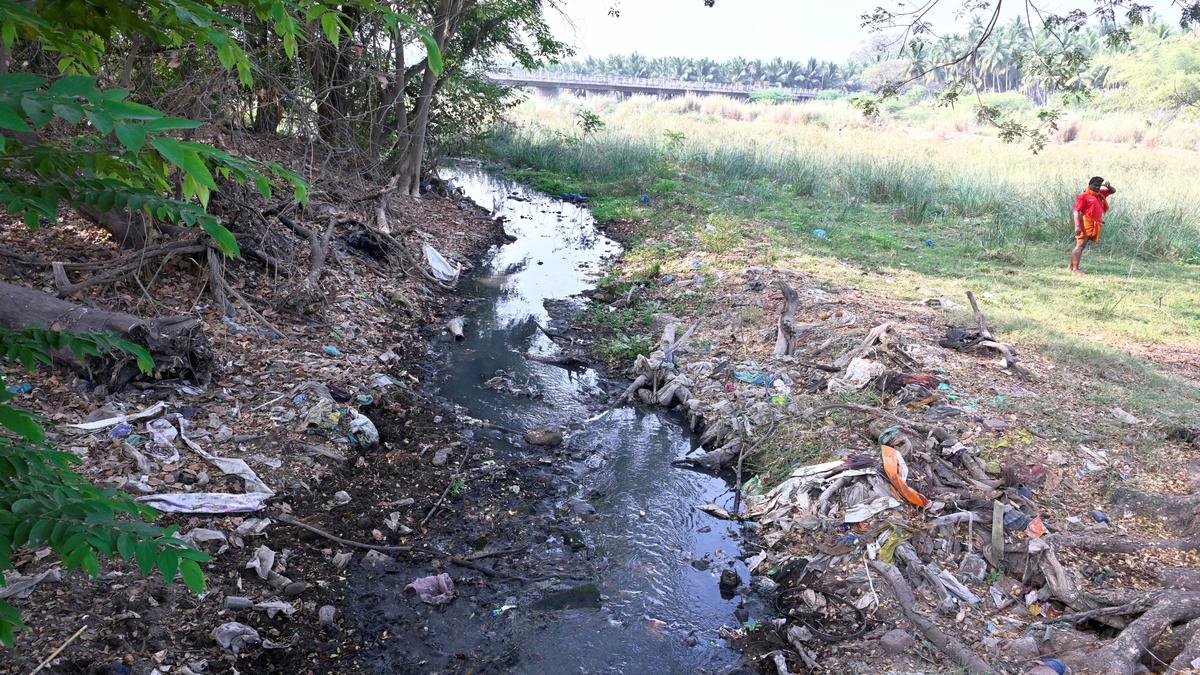 Long-pending demands irk Sholavandan residents