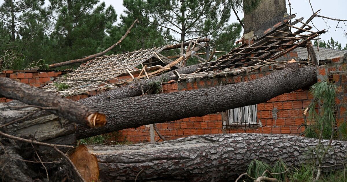 Panic as tourist hotspot in Spain hit by mass evacuations