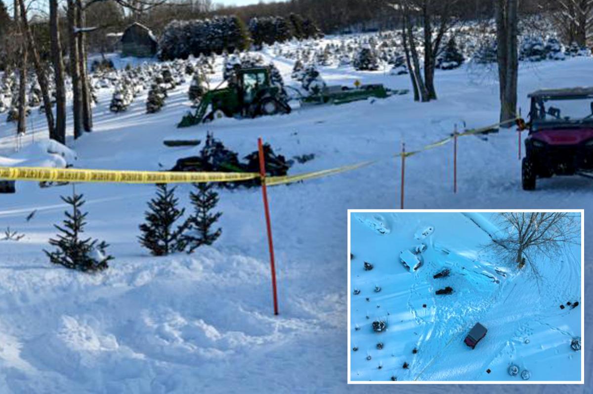 One teen dead, another injured in freak upstate NY snowmobile wreck:...