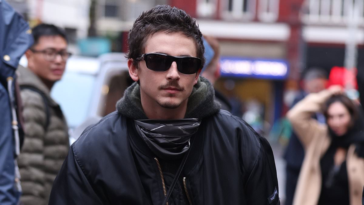 Timothée Chalamet cuts a cool figure at movie event in London's soho