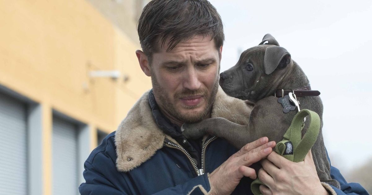 Crime thriller starring Hollywood legend in final role on Film4 tonight - The Mirror