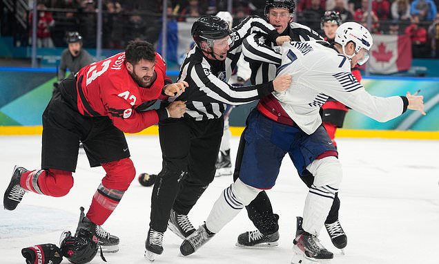 Tom Wilson fights in Canada's game vs. France at the Olympics