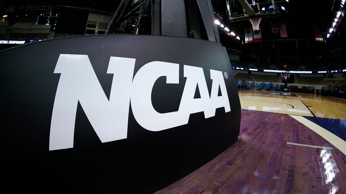 Tuskegee basketball coach escorted off court in handcuffs: What we know