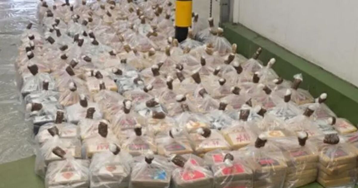 UK facing growing drug crisis after record seizures - 'lost control'