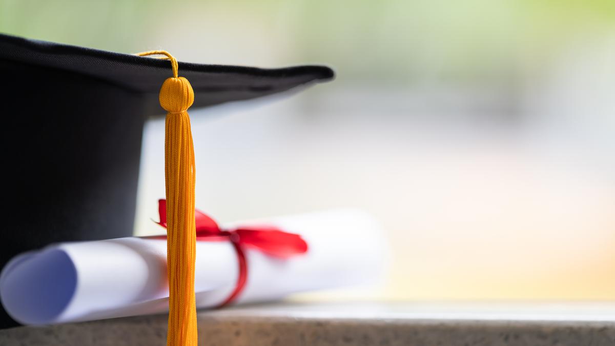 Why university rules about equivalency certificates need urgent reform