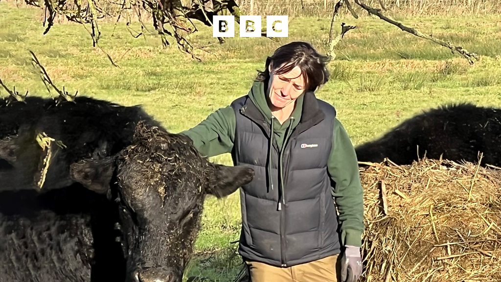 On Your Farm - The One-Woman Wagyu Beef Farmer - BBC Sounds