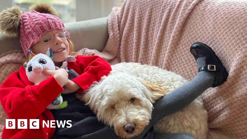 Wigan Warriors kit gesture for 'brave' little Holly Prince, 5
