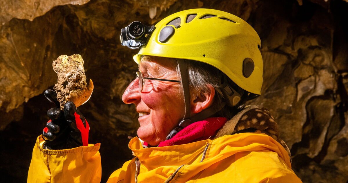 Wolverine's remains from 80,000 years ago found in UK cavern