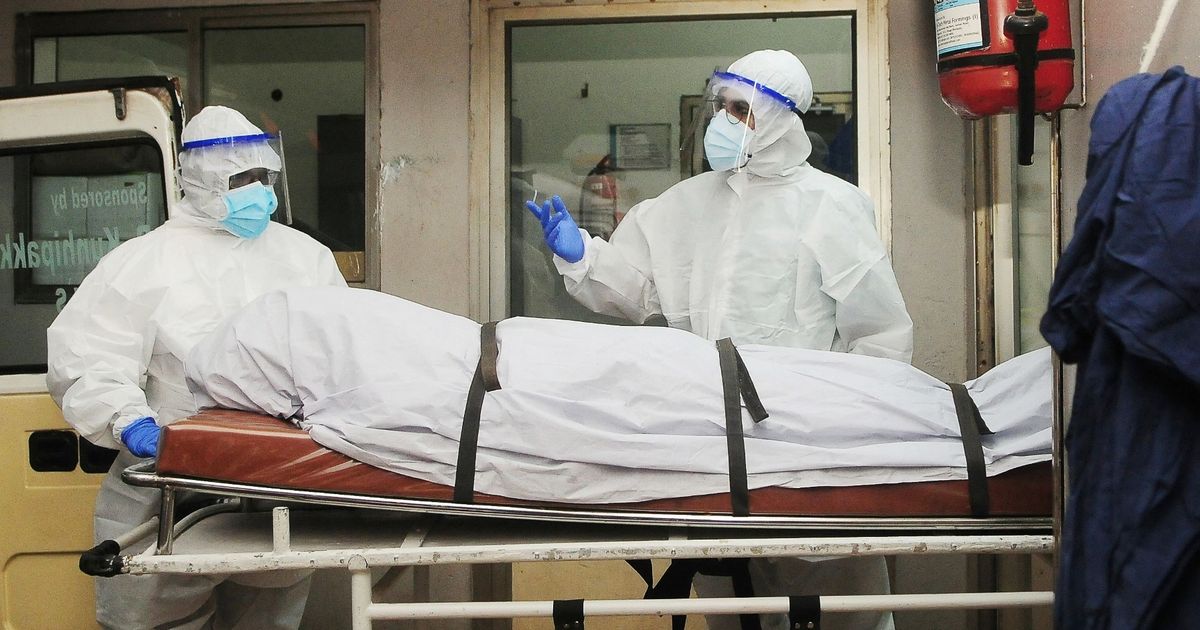 Woman dies from Nipah as brain-swelling virus feared to be next pandemic - The Mirror