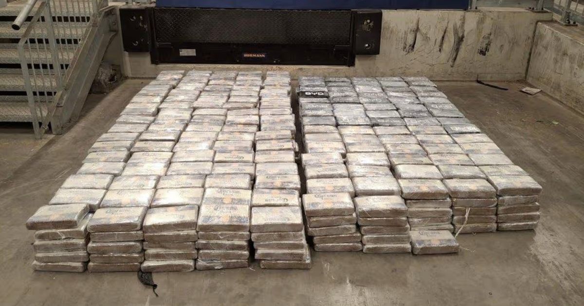 Cocaine worth £75m found stashed in banana pallets and seized at UK dock