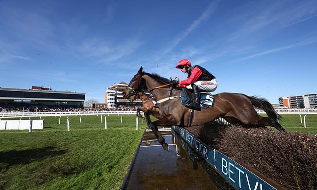Prairie Wolf books Topham ticket with Newbury strike