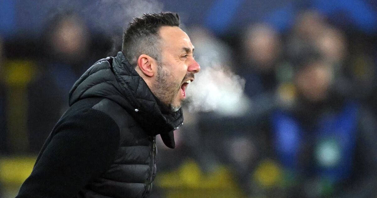 Roberto De Zerbi gets request after taking Spurs job as he learns what cub needs